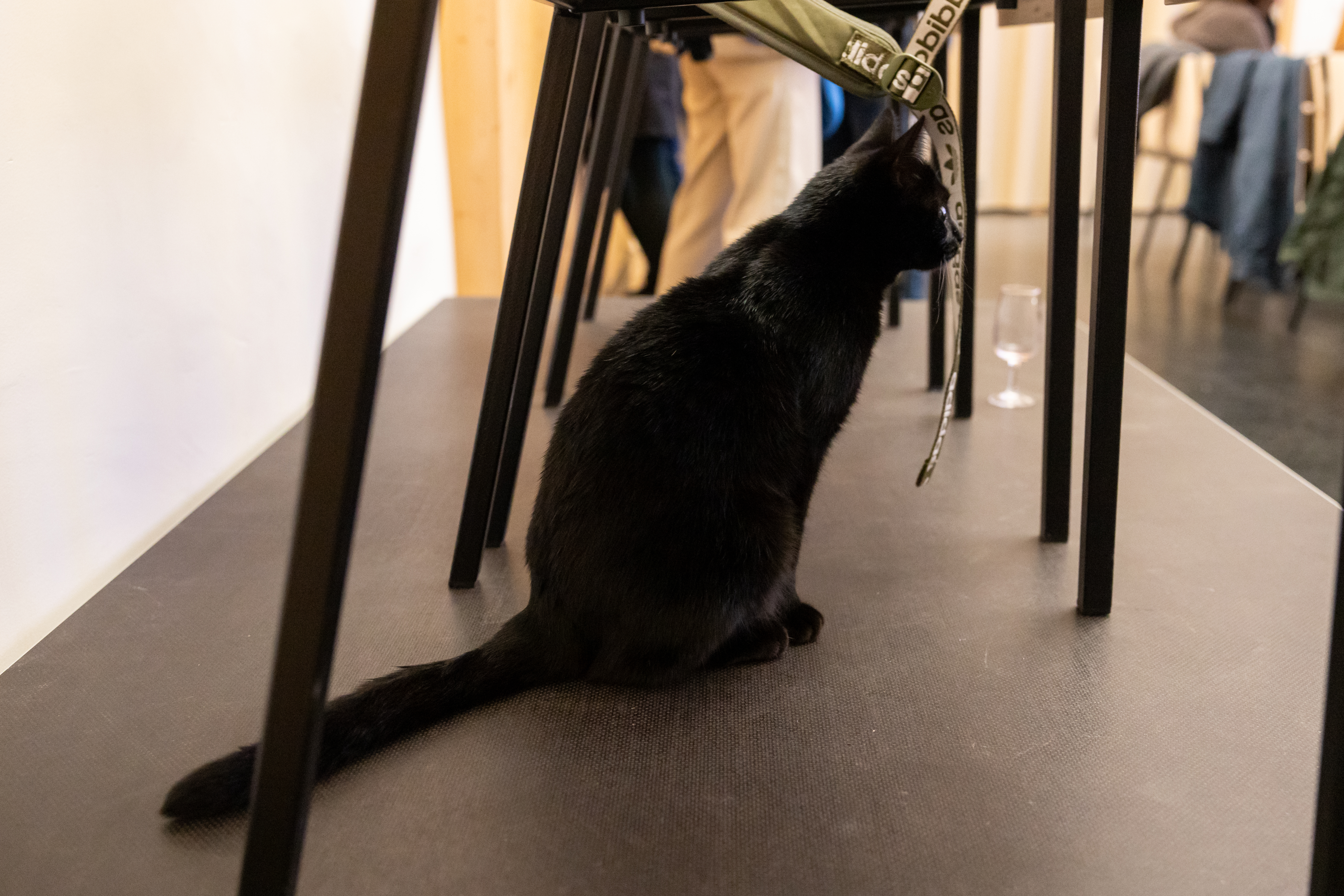 Let's Doc! - Le Bilan image