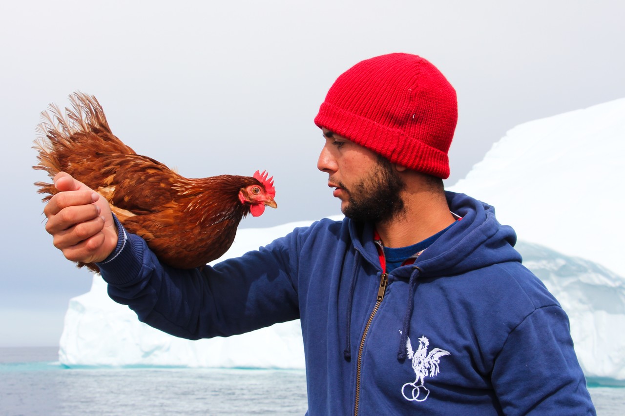 Du pôule nord au pôule Sud image