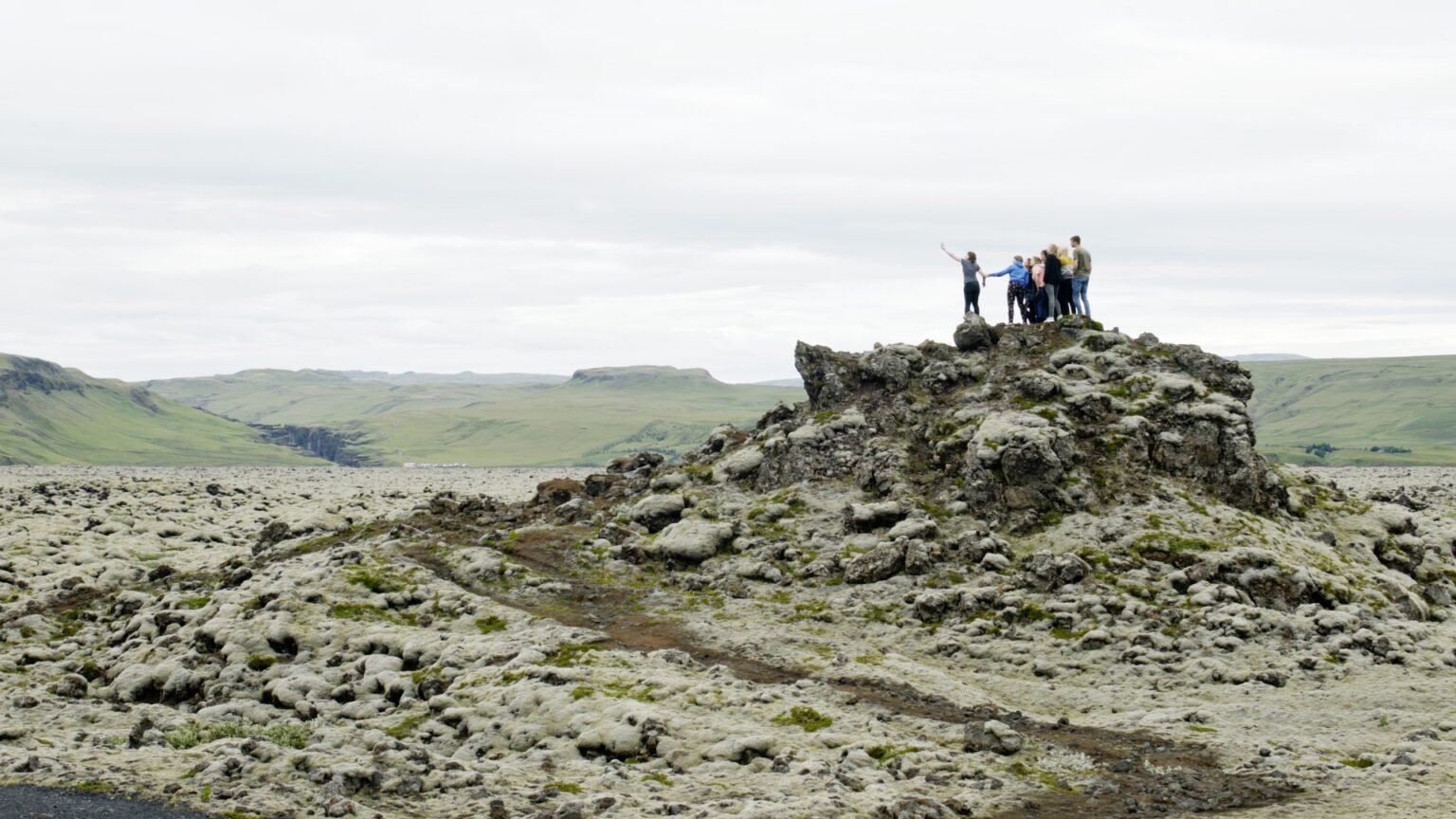 Haulout et autres courts-métrages image