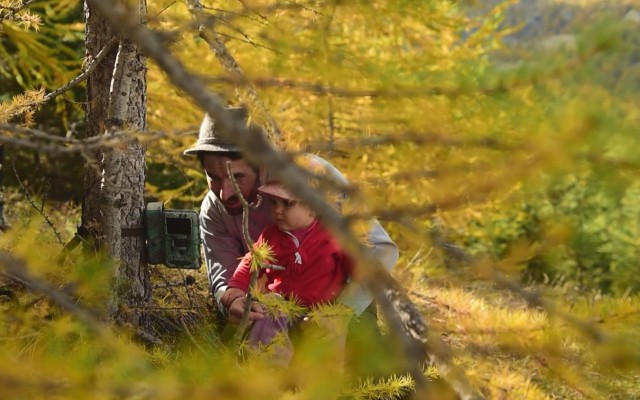 Naïs au pays des loups de Rémy Masséglia image