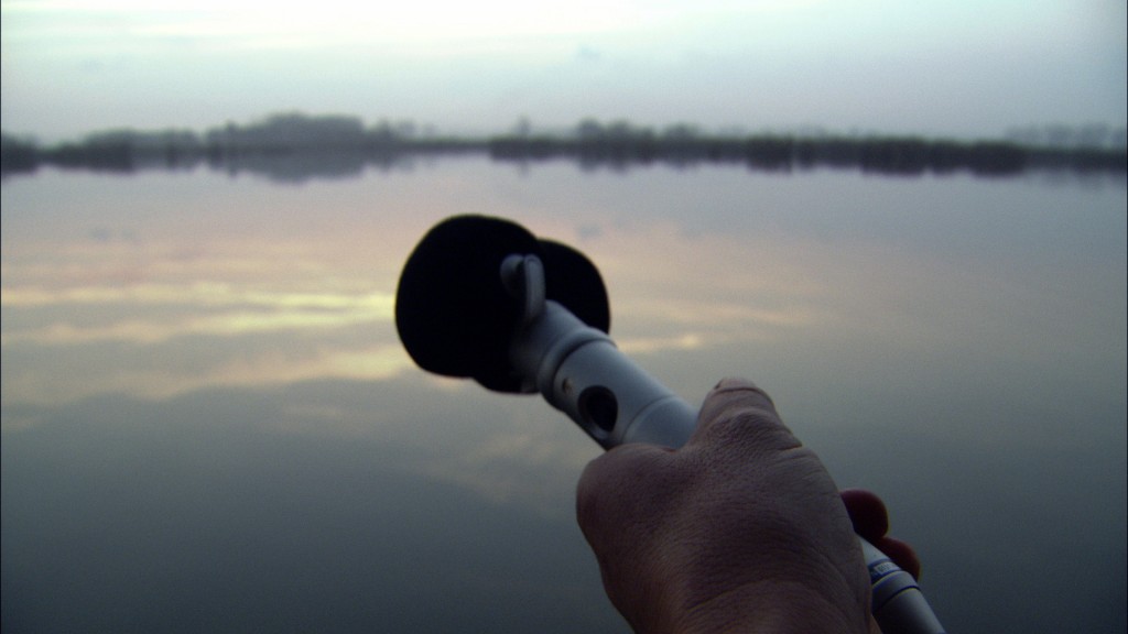NEL GIARDINO DEI SUONI image