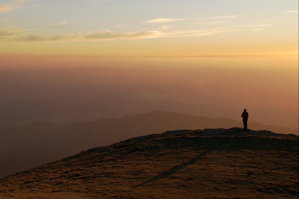 NEL GIARDINO DEI SUONI image