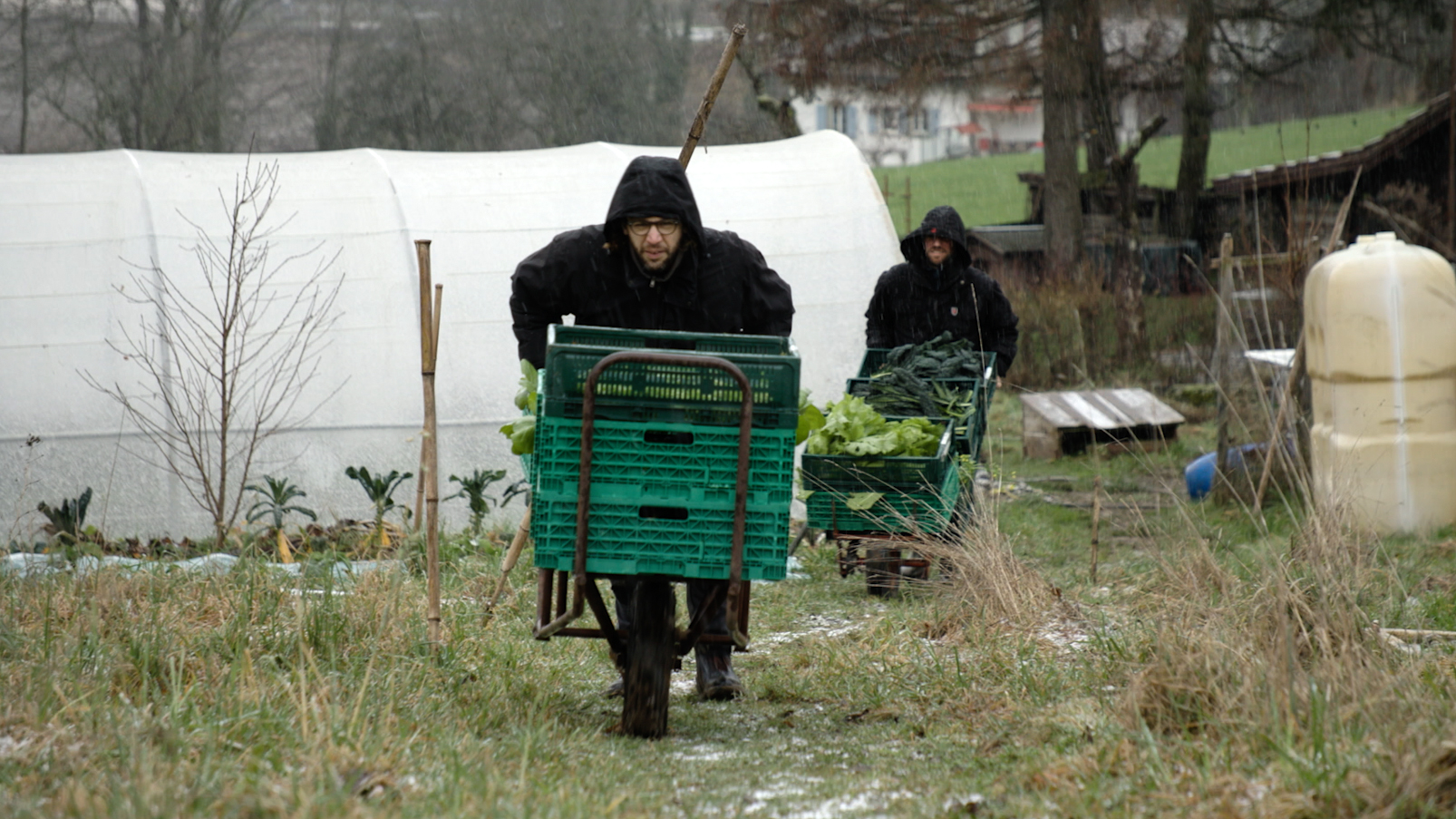 Le Goût des Choses image