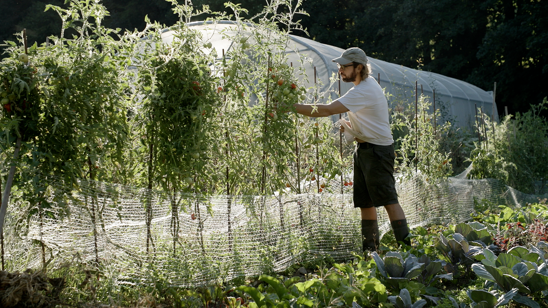 Le Goût des Choses image