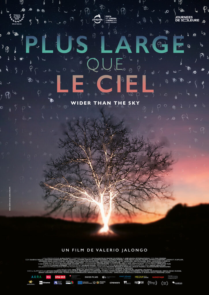 Plus large que le ciel (Wider than the Sky) image