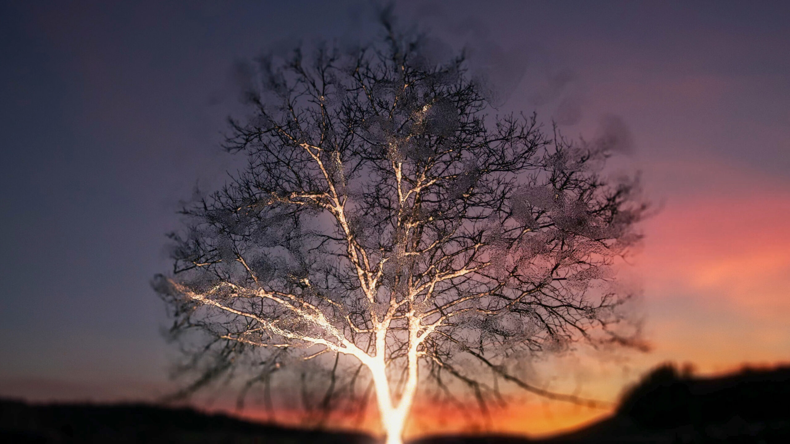 Wider than the Sky image