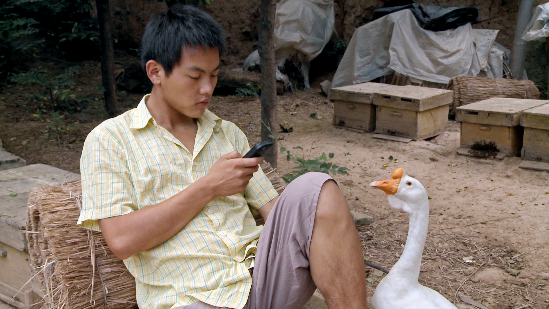 THE BEEKEEPER AND HIS SON image