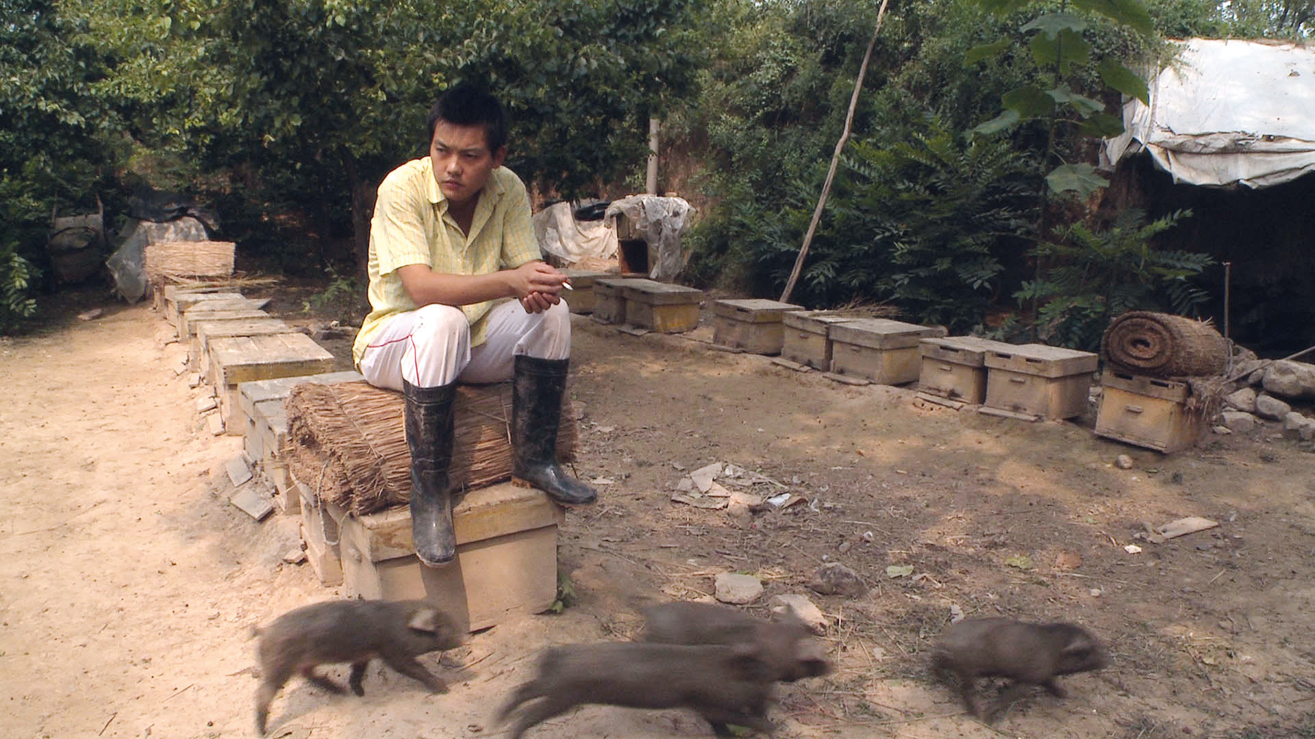 THE BEEKEEPER AND HIS SON image