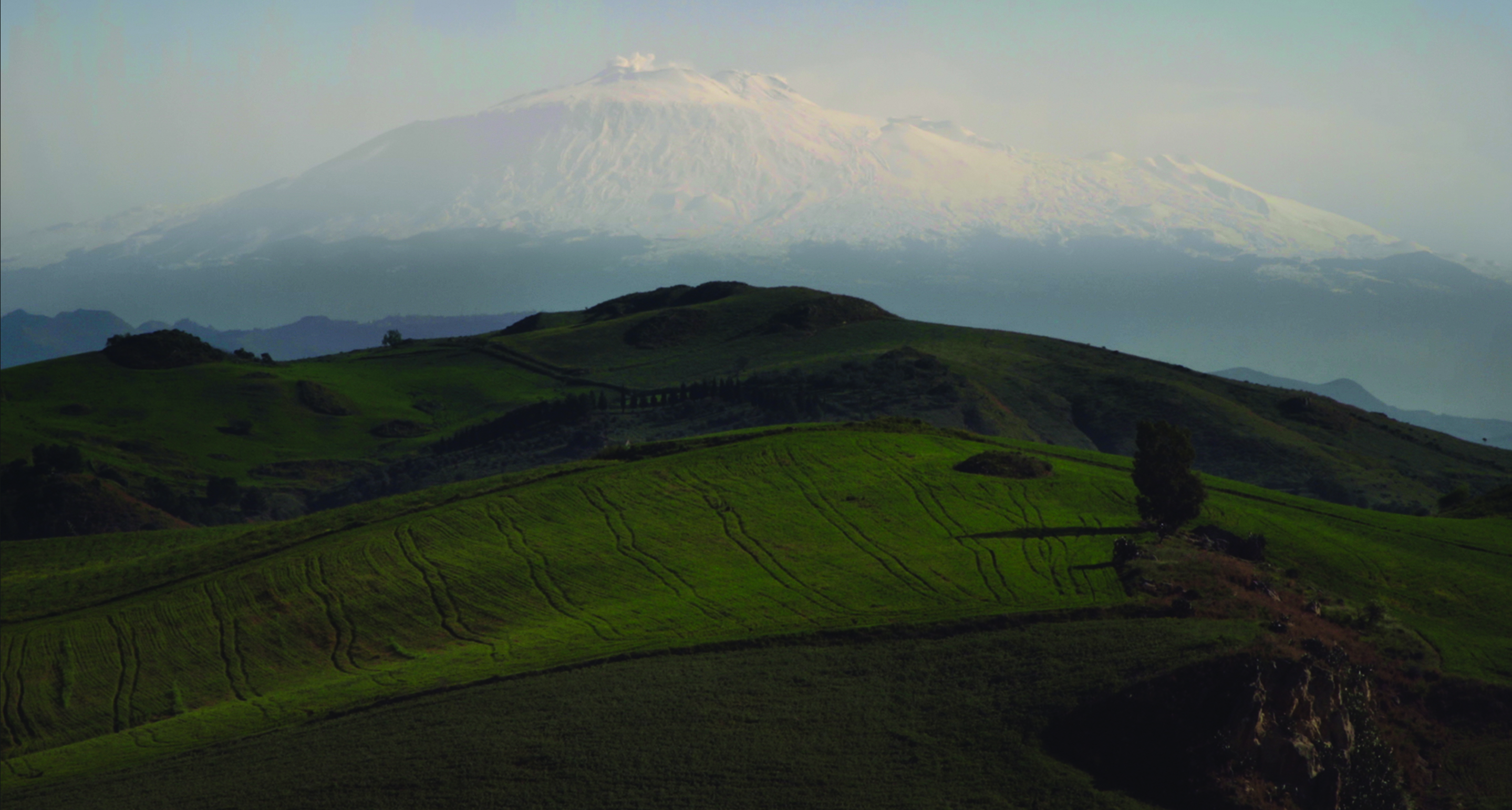 NUL HOMME N'EST UNE ILE image