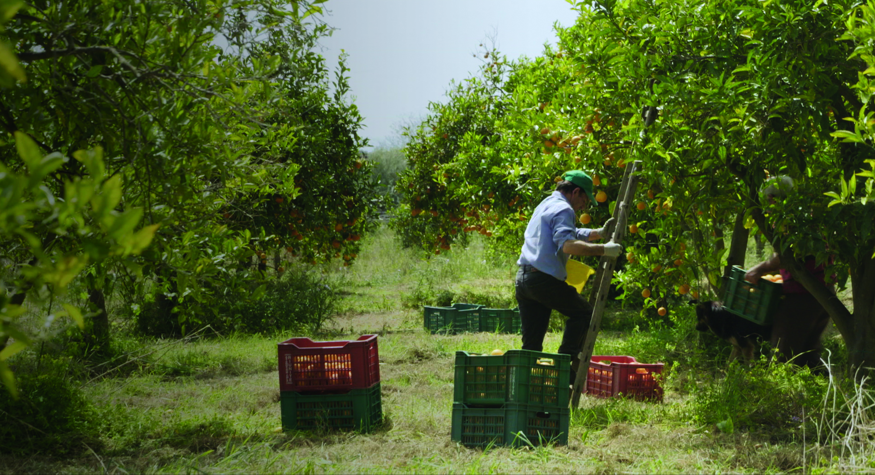 NUL HOMME N'EST UNE ILE image