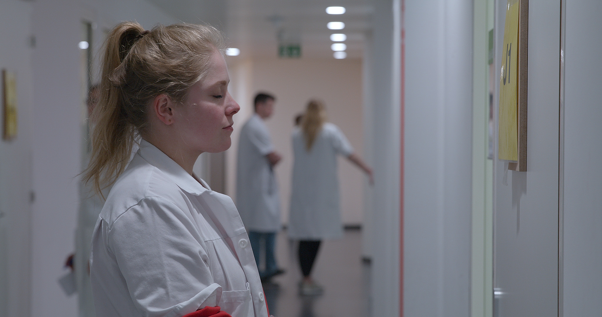 Les Guérisseurs image