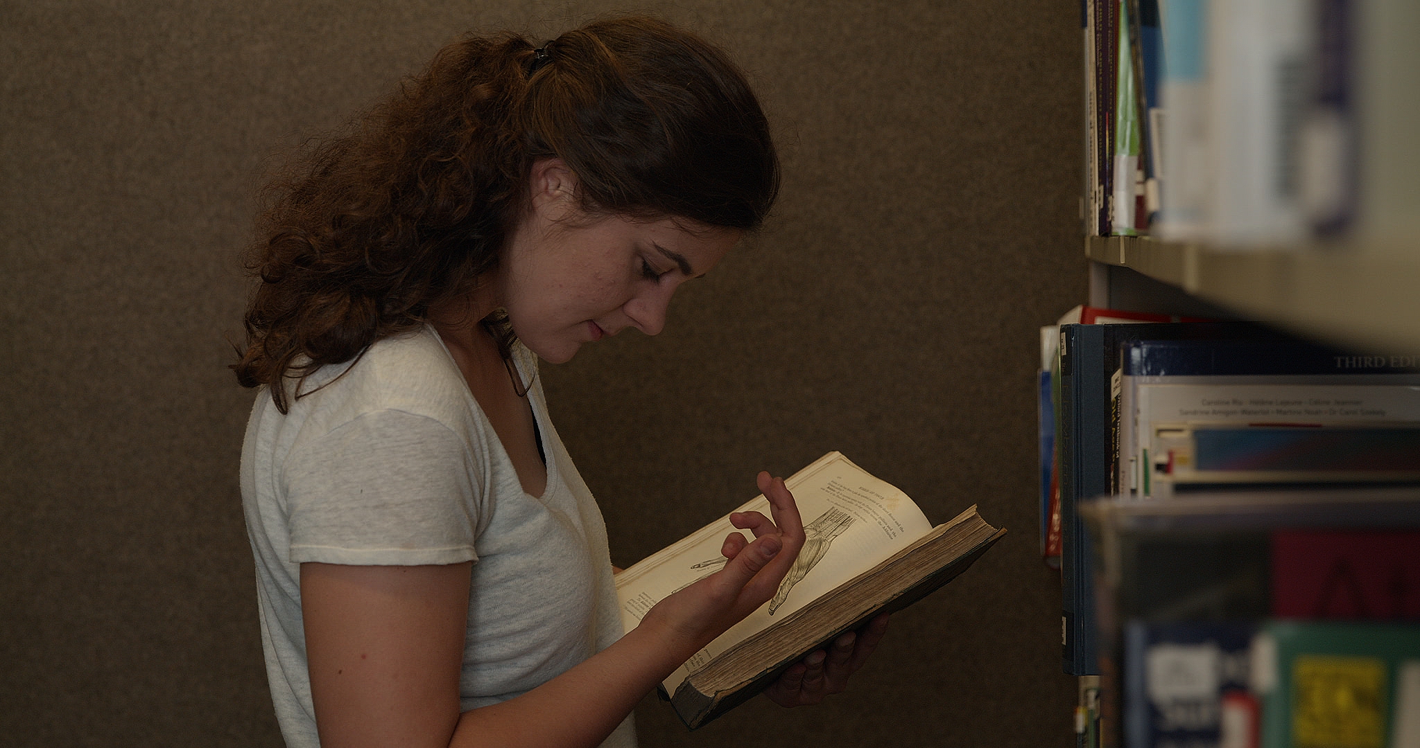 Les Guérisseurs image