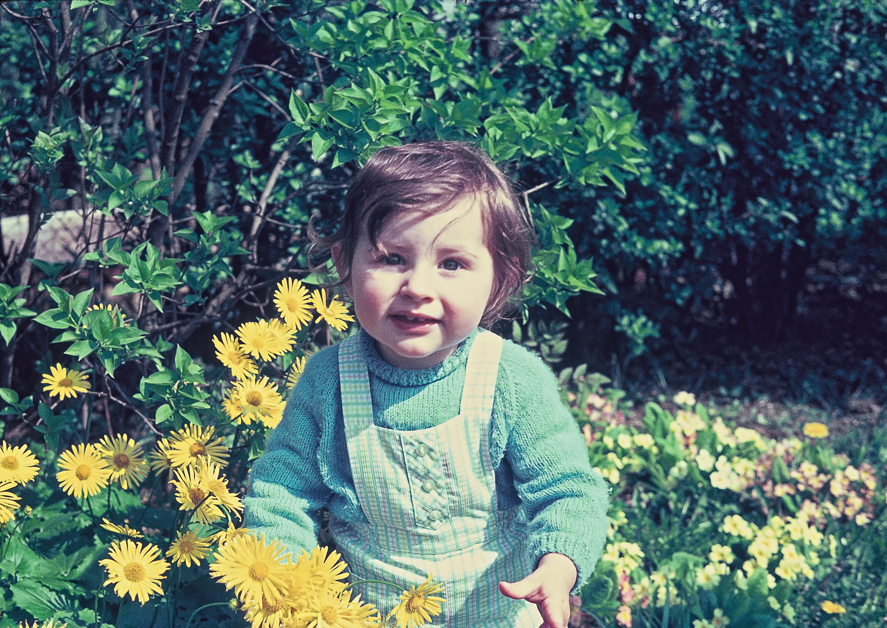 UNE HISTOIRE A SOI image