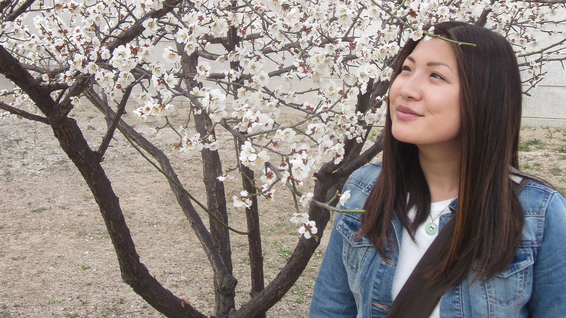 UNE HISTOIRE A SOI image