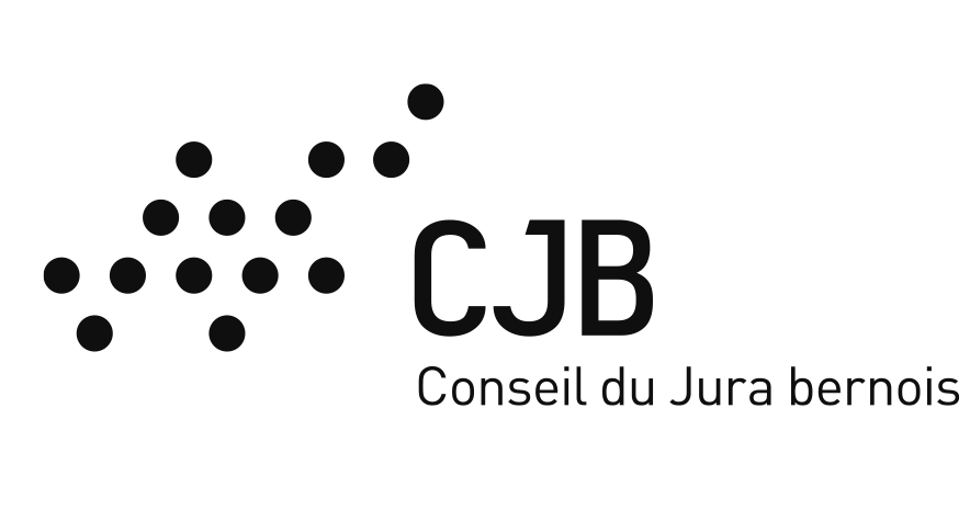 GARÇONNIÈRES image